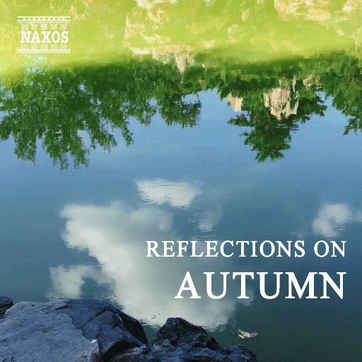 性欧美内谢一Vide0Se
